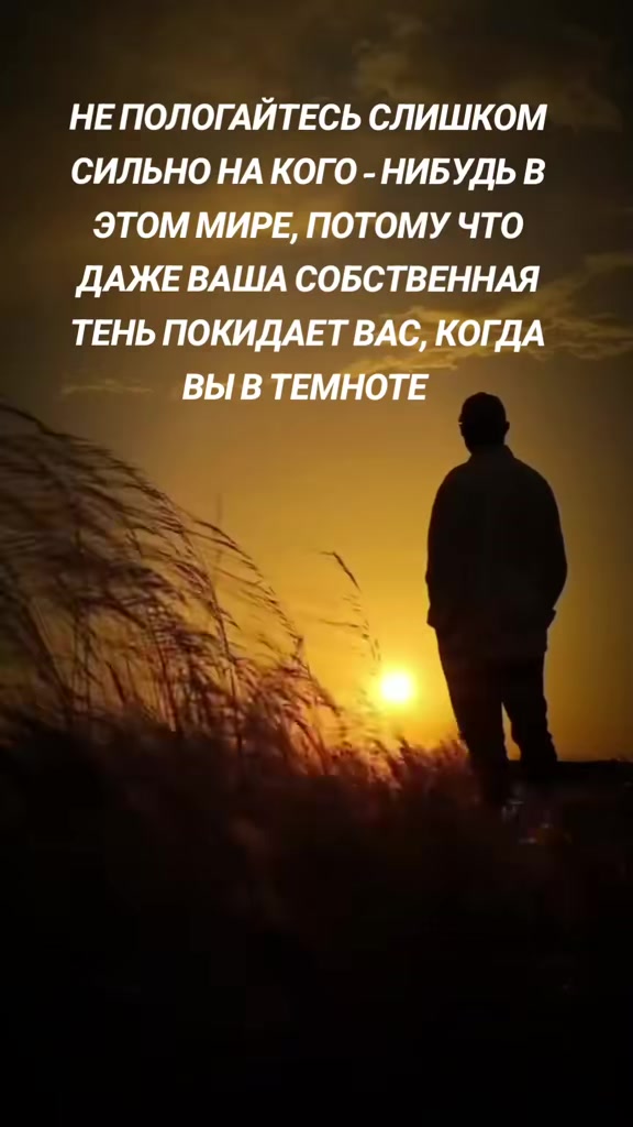 @Cʜᴀᴍᴘɪᴏɴ 🖤
