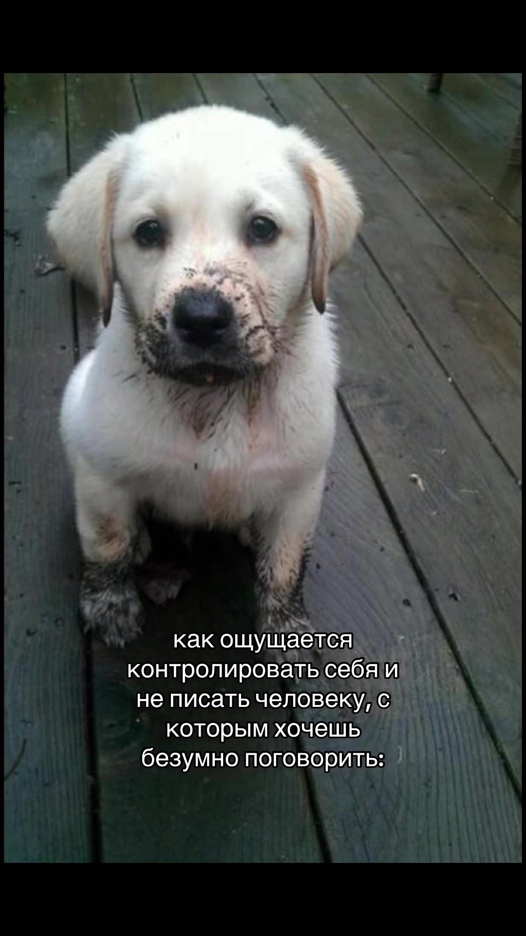 @лаваш