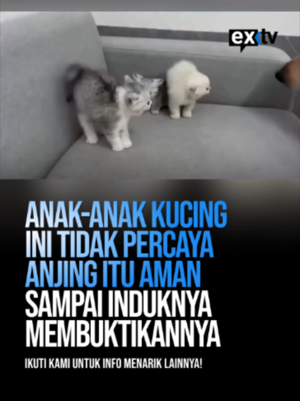 @Expressi Media