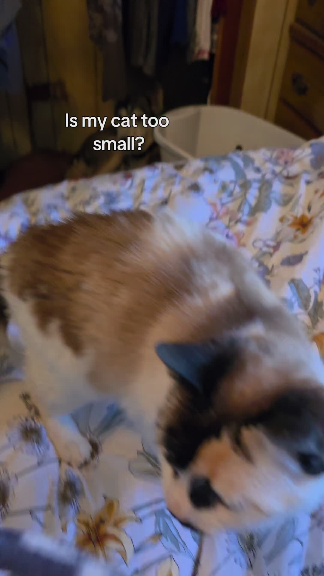 @KevinRaaamaaage