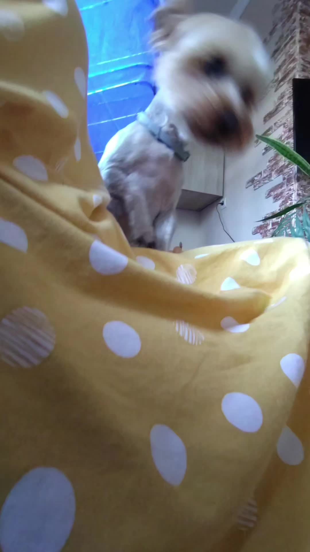 @Анна Азизян