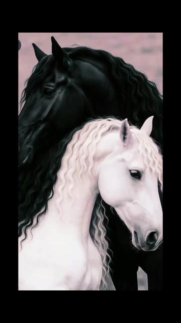 @Jamie🖤D'Croy🕷️Math😇Karlus🩷