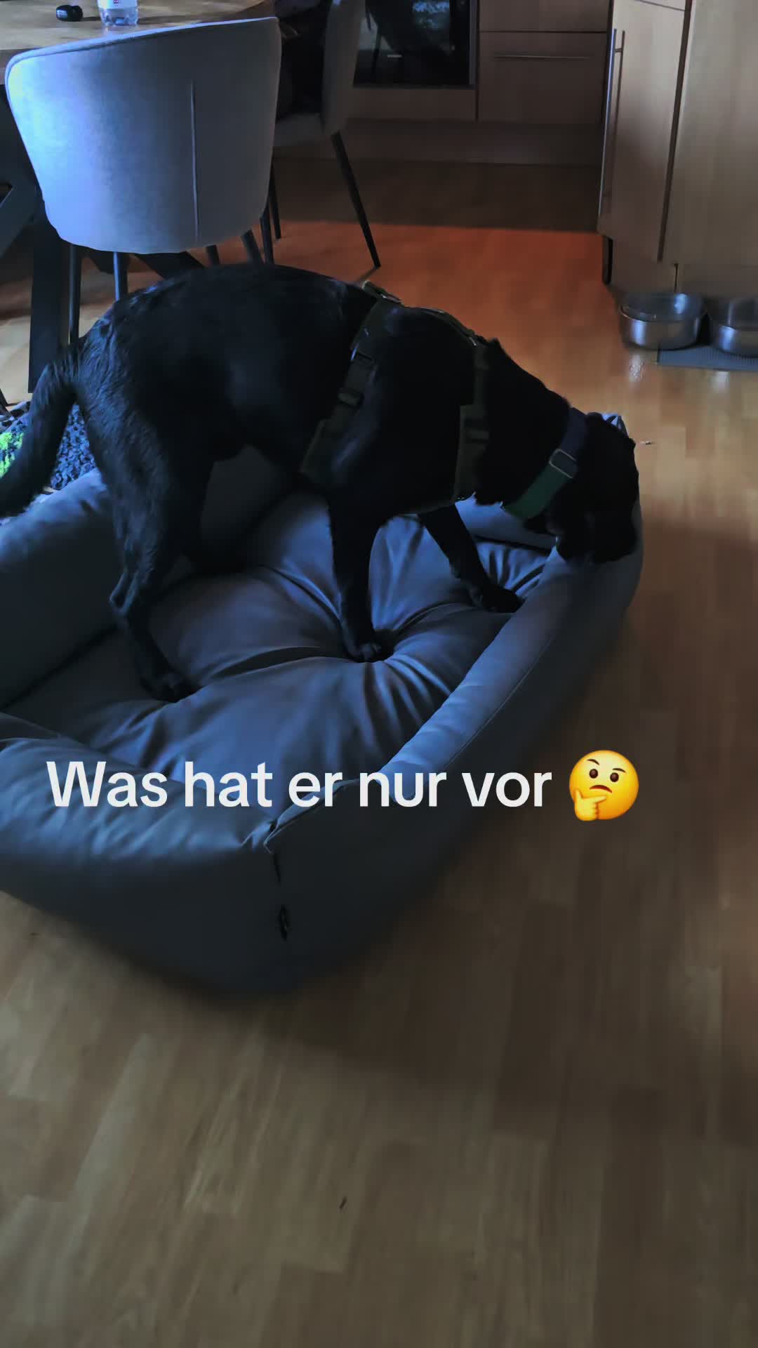 @AntonderBollerkopp