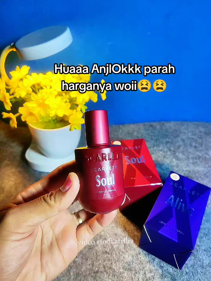 @Rindi Afrilia𝜗𝜚✨