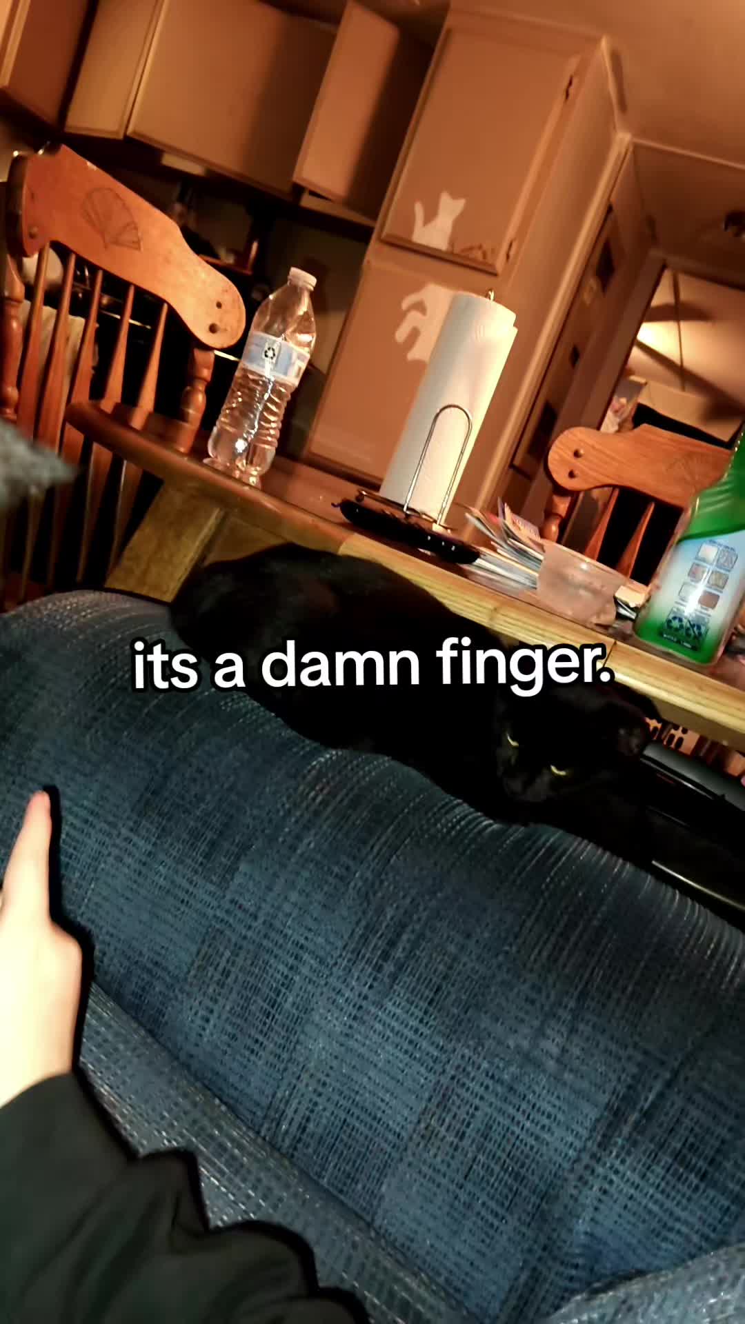 @⦻Conner!⦻