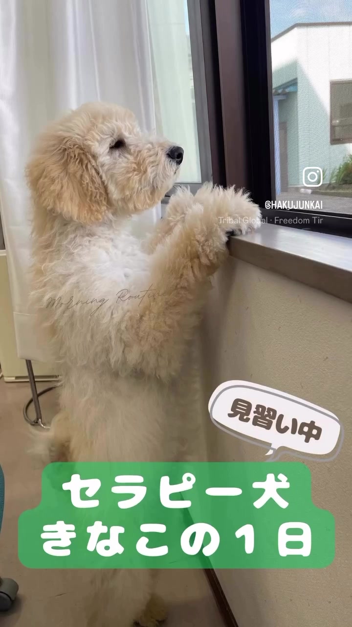 @博順会 博純苑
