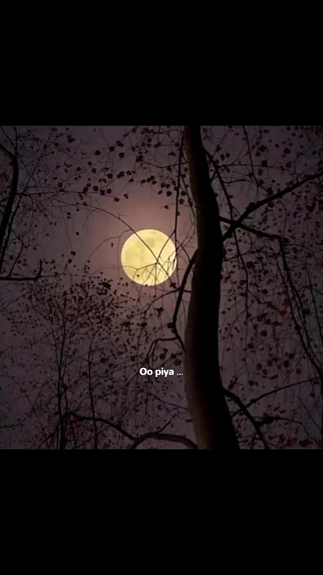 @anayavibes