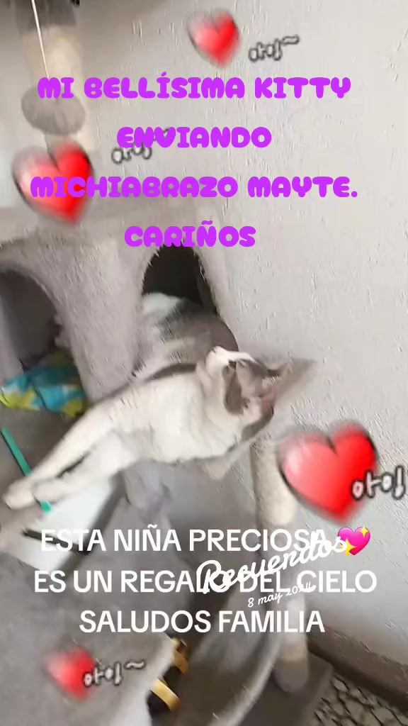 @minyna102