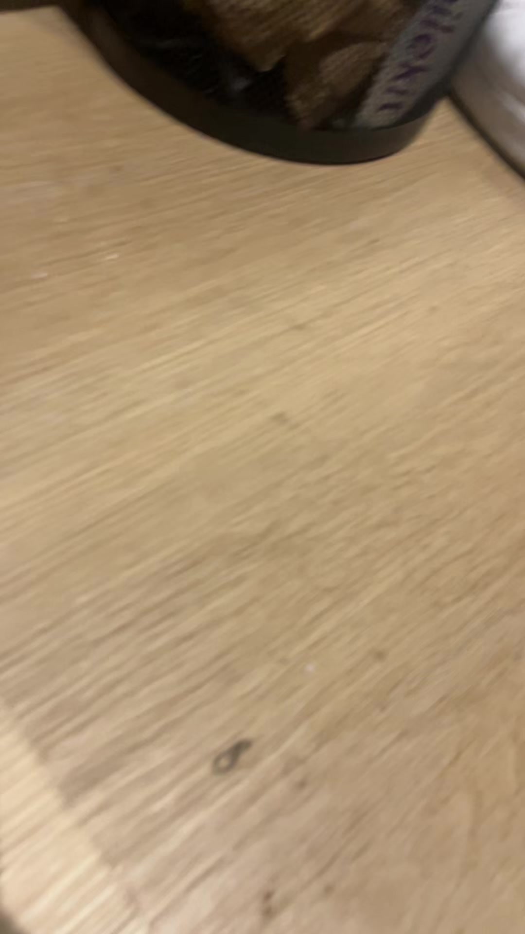@spopatuais
