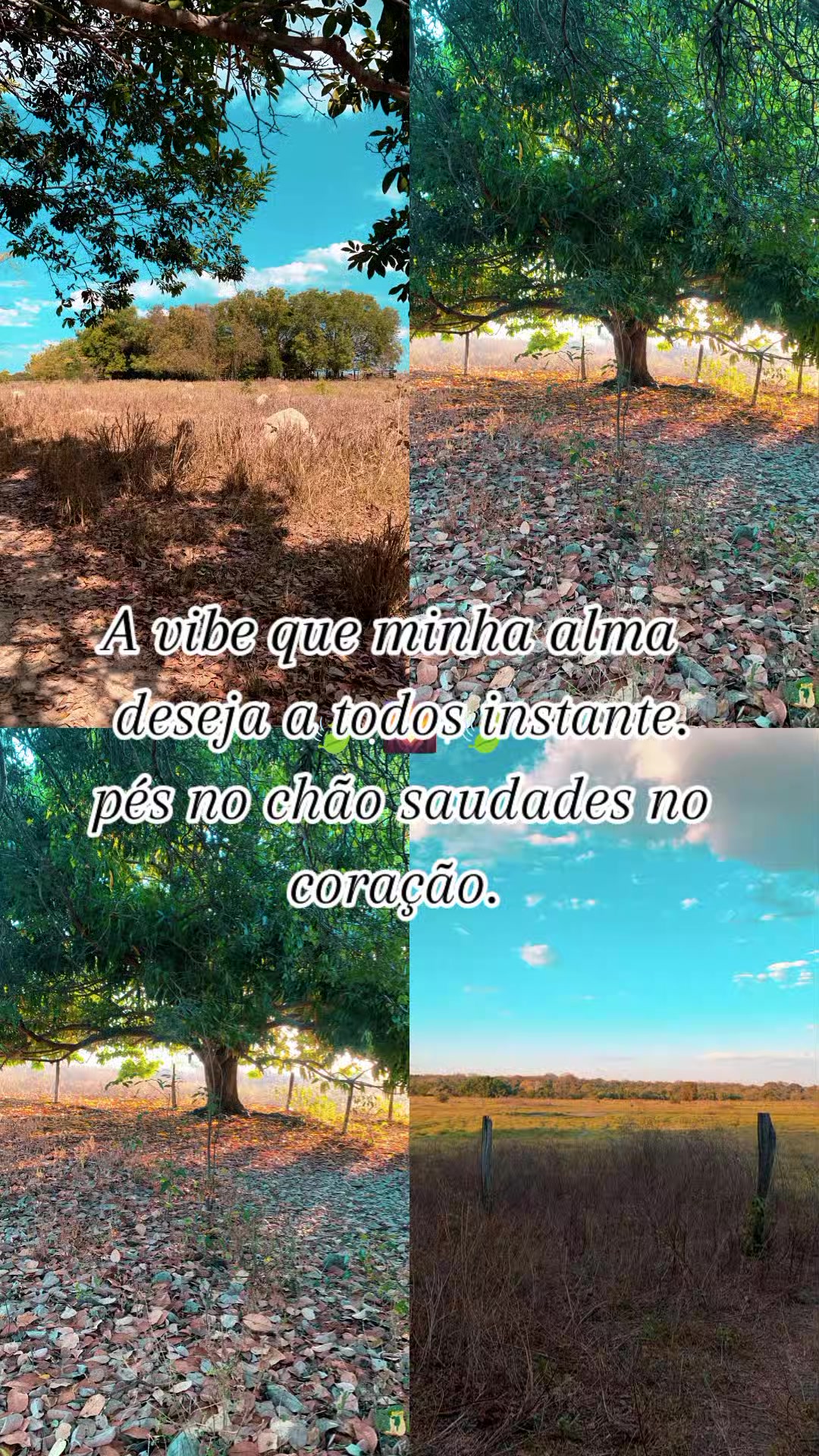 @Lidiany Aparecida