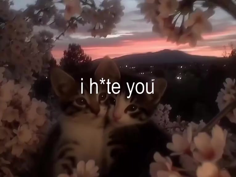 @lomt1c
