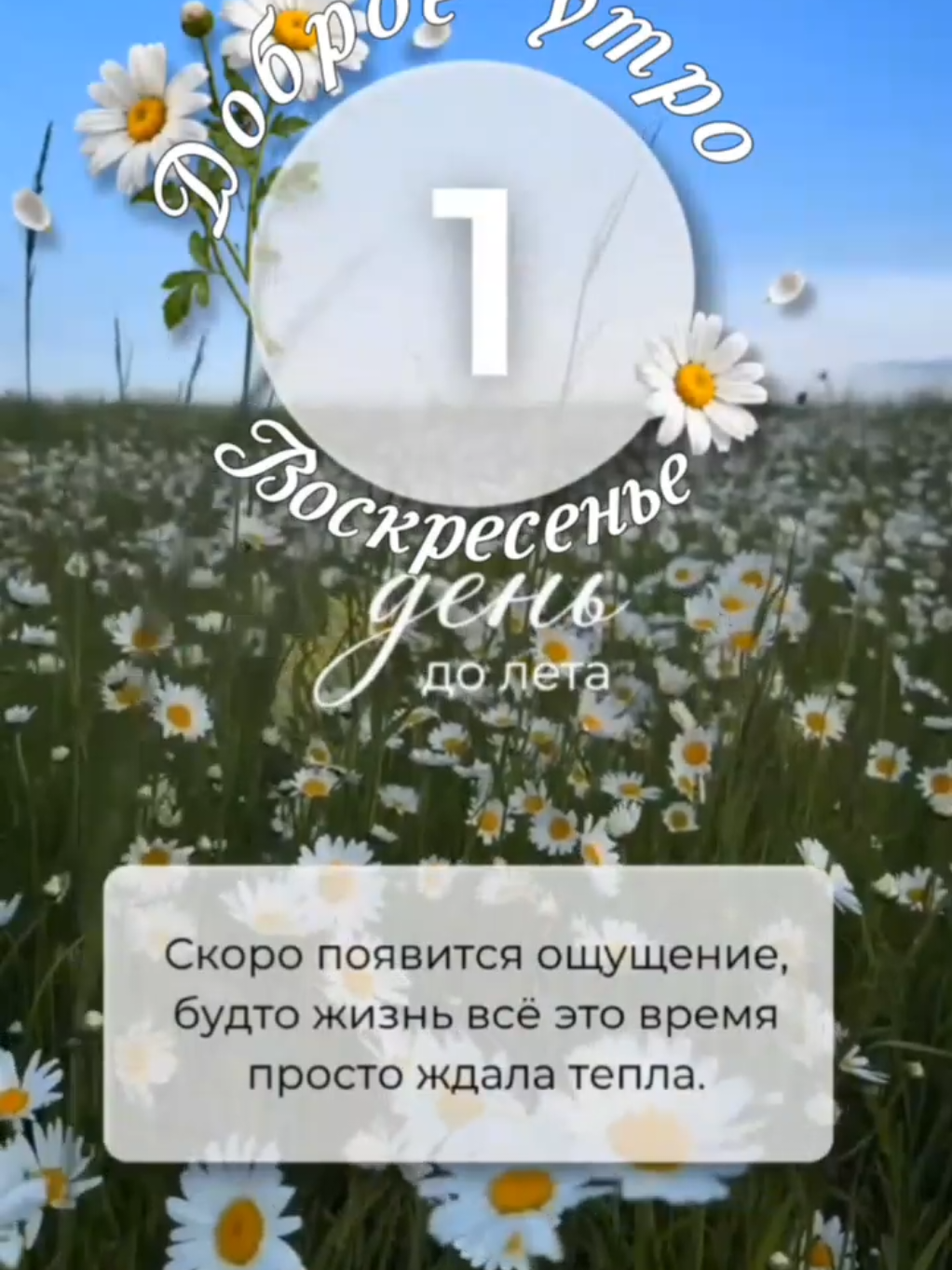 @Ирина goodmorning