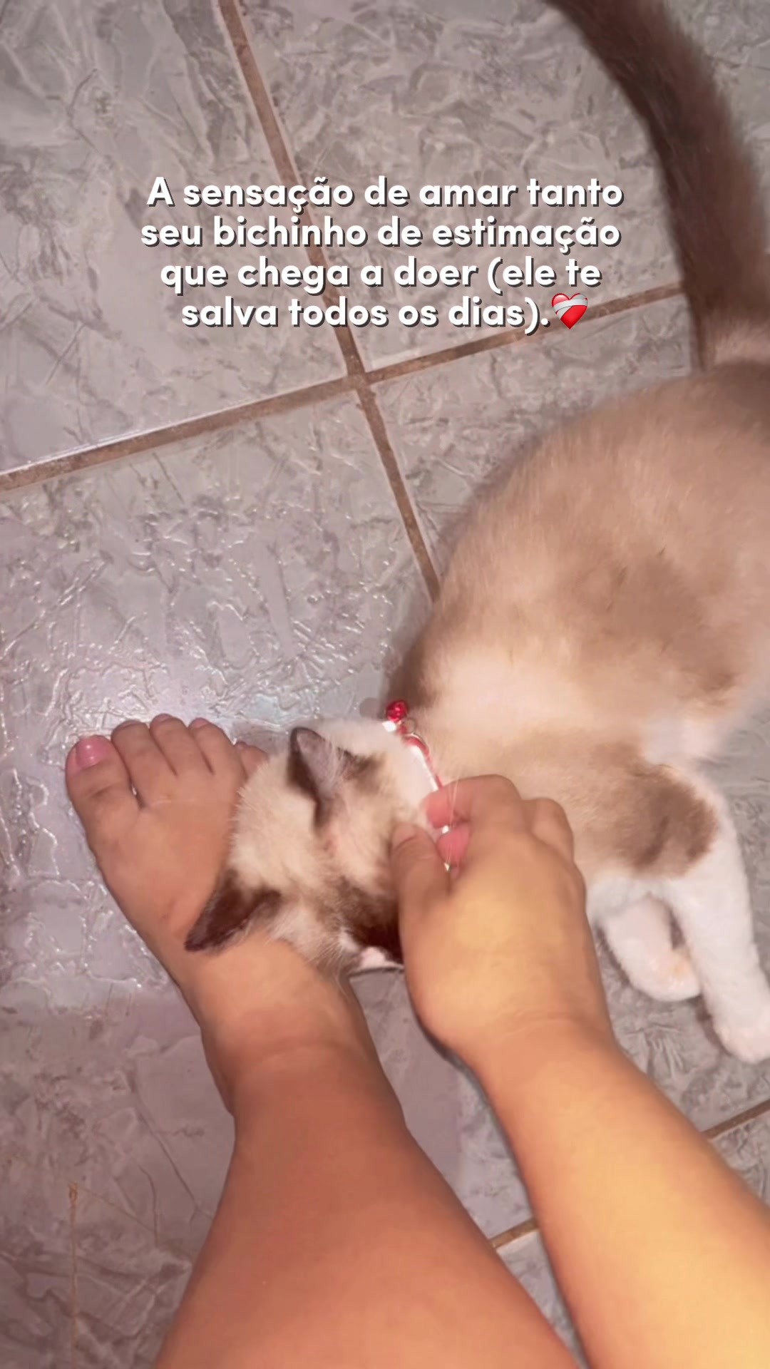 @Amannda Rafaeela