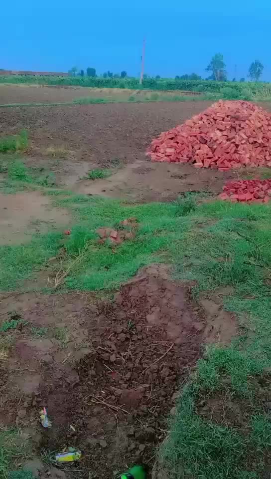 @chandmasih