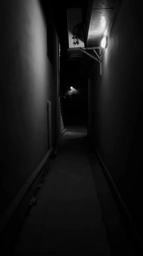 @🎖️طـعٌـنـهه الـمـطـيـري🎖️