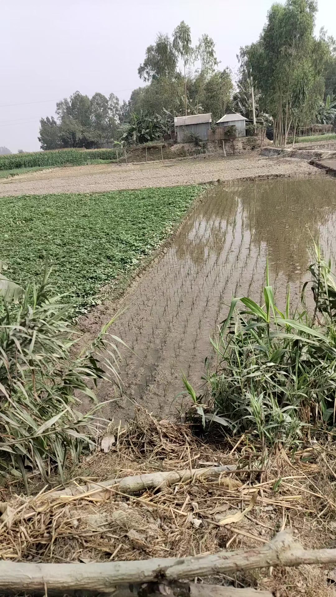 @শুধু তোমার জন্য পাগল