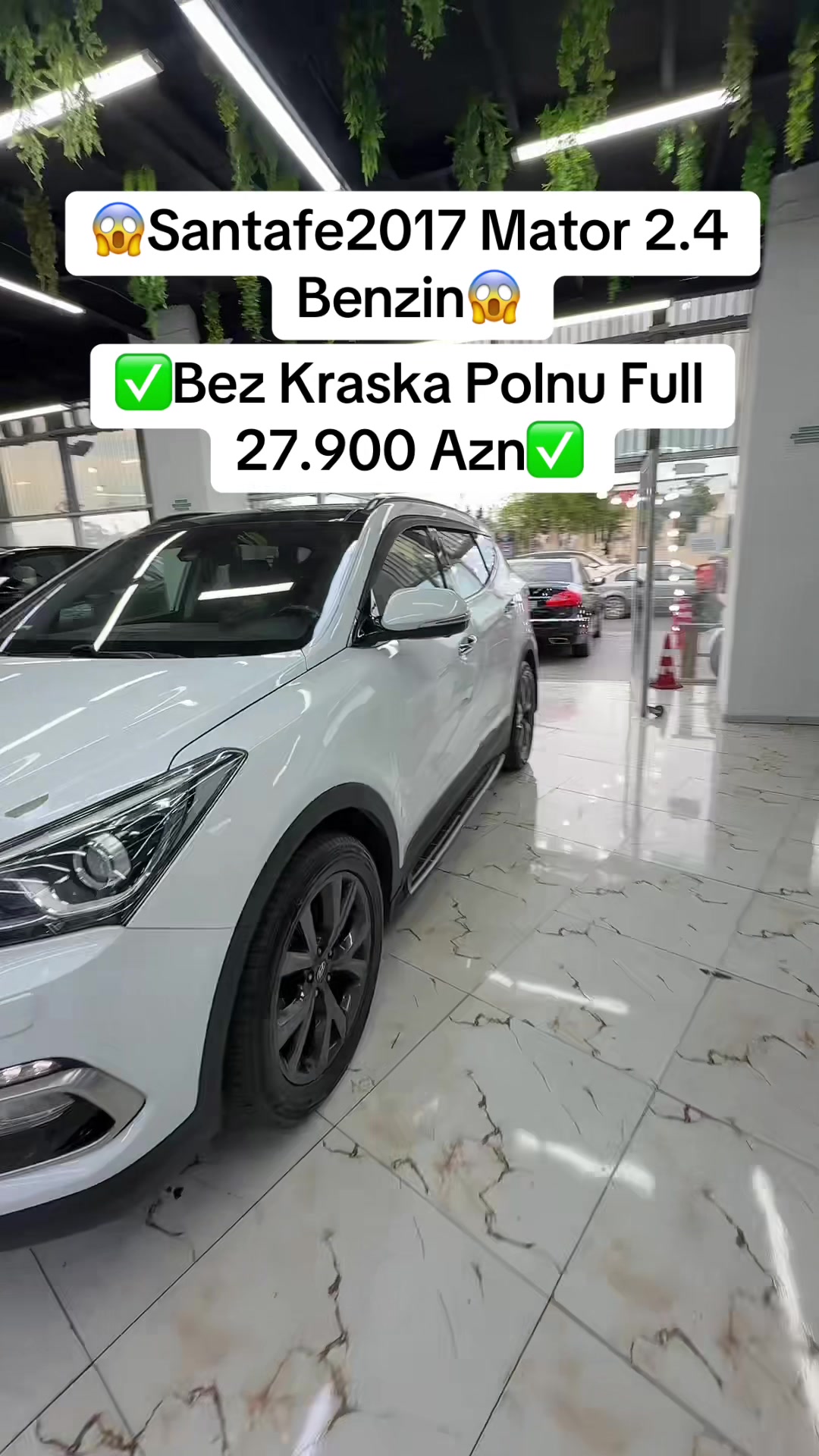 @Elim yandi auto Babek✅