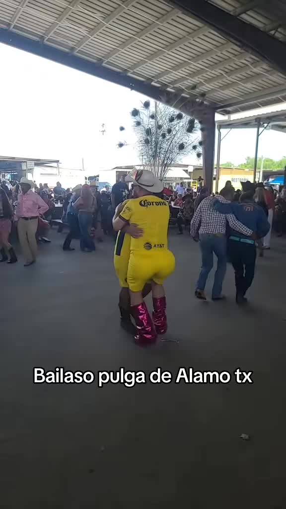@vetillooliveros