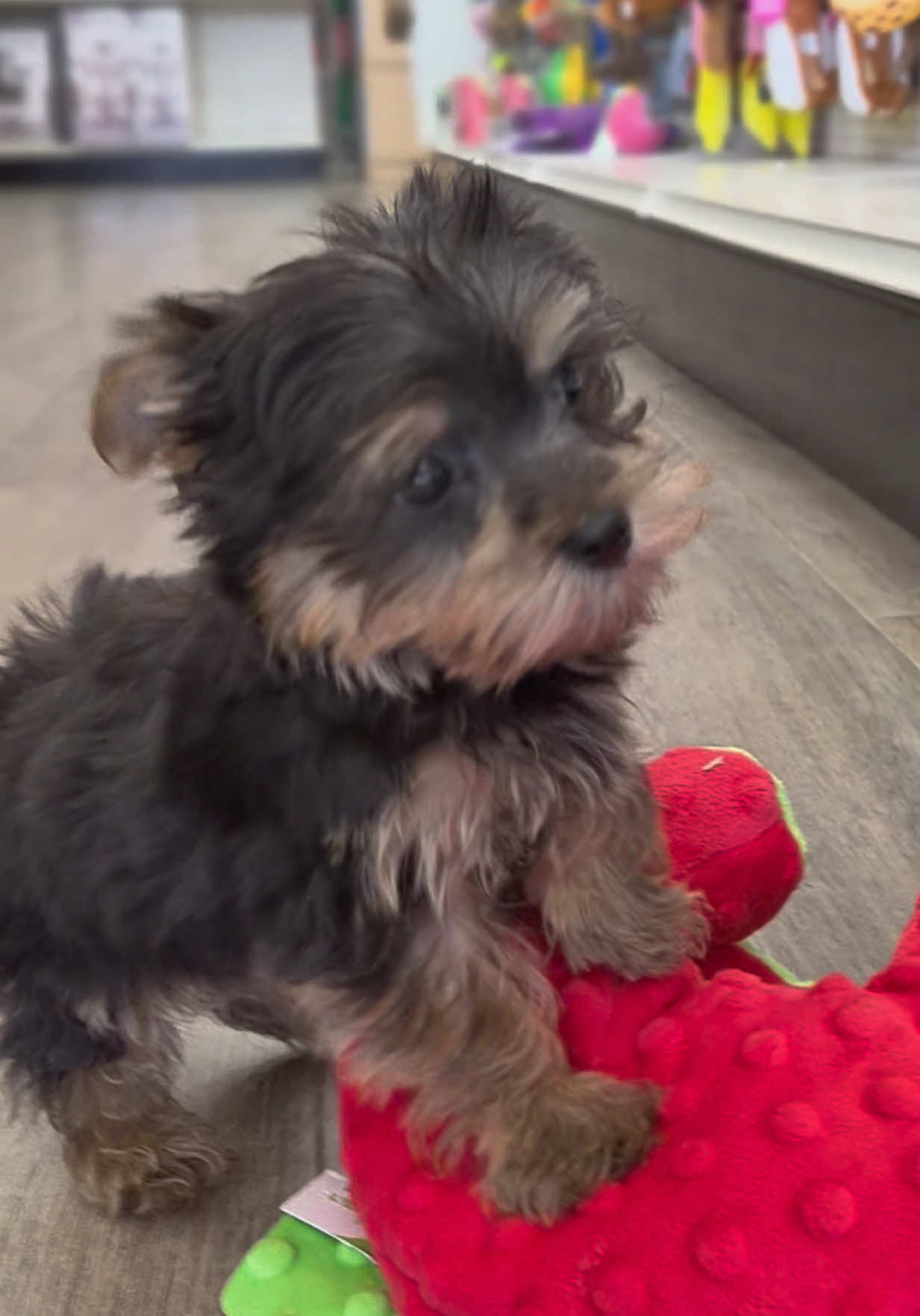 @Petland Oklahoma City