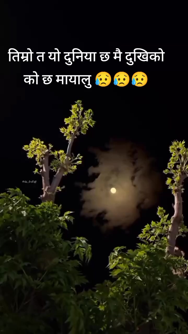 @abiral832