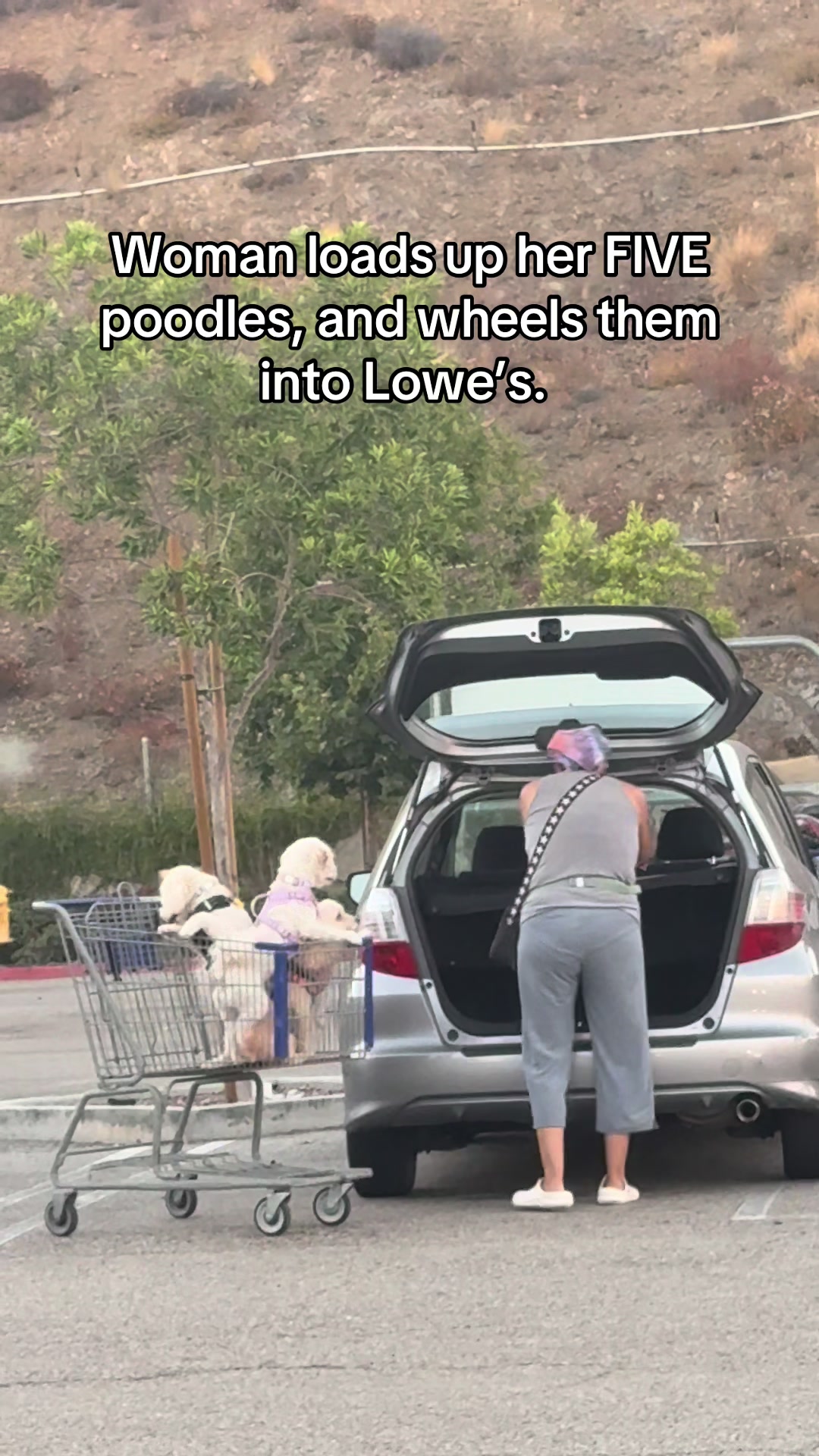 @Real moms of the CV