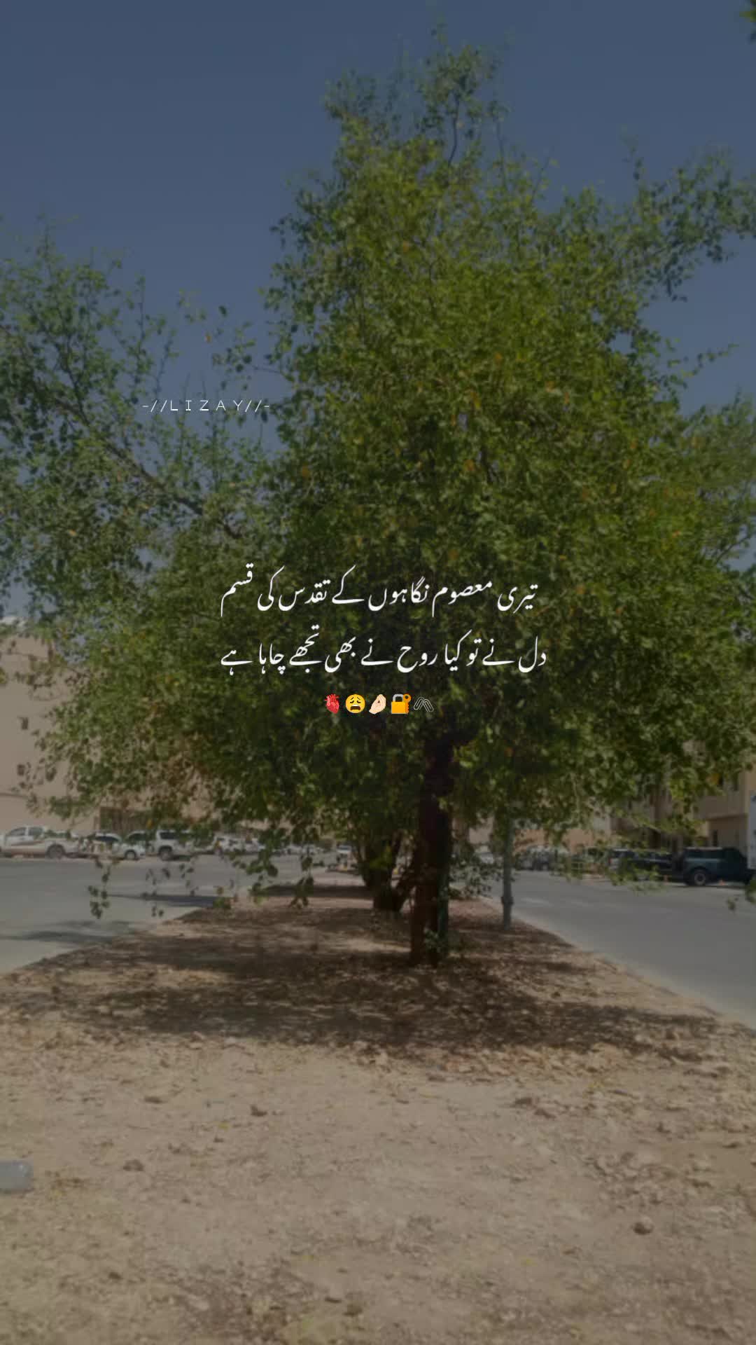 @🥀🇵🇰🌹Dilnawaz 🥀🇸🇦🌹🇸🇦?