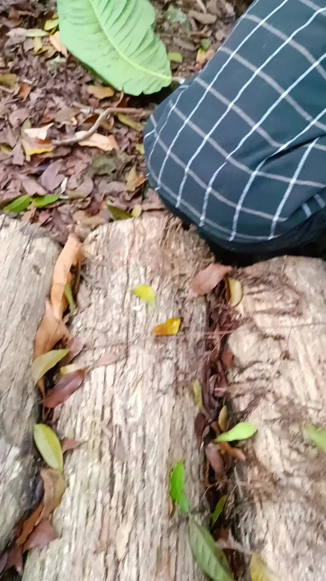 @Mellodysta Nana