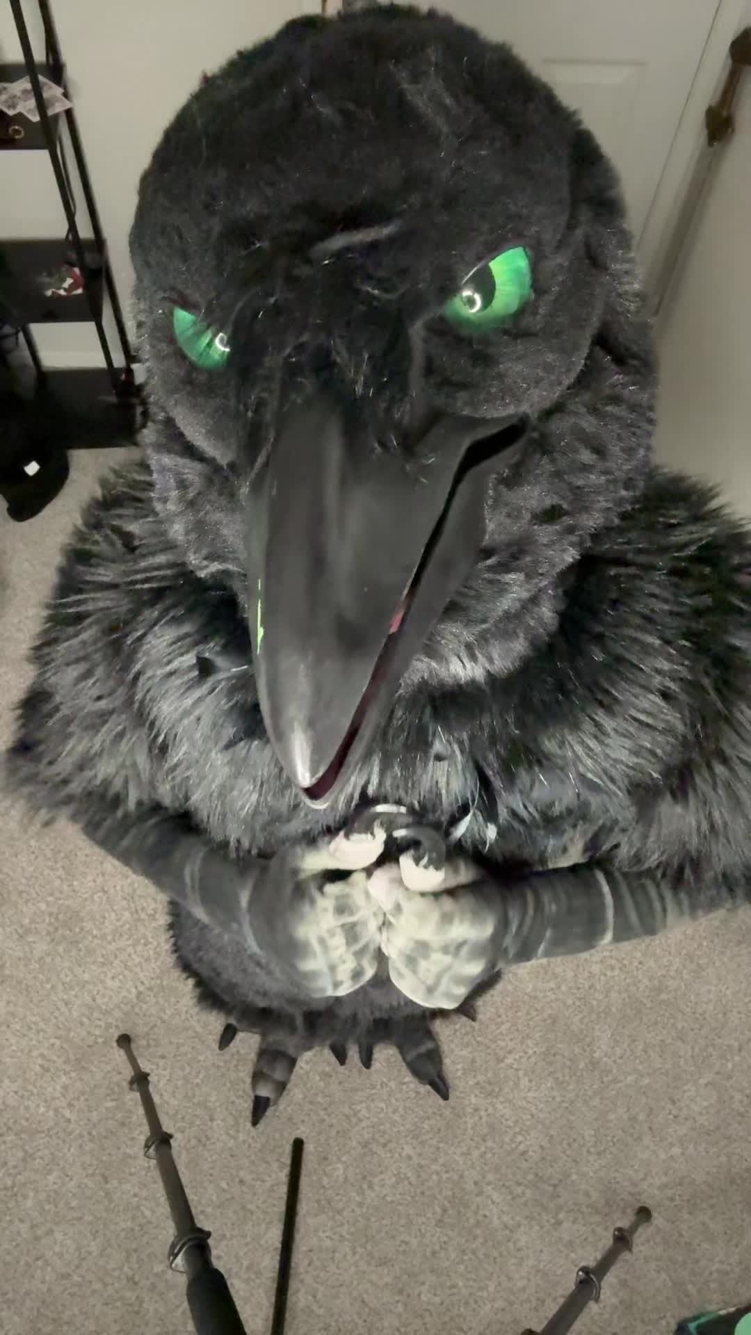 @Aeko🔜Furlandia 2026