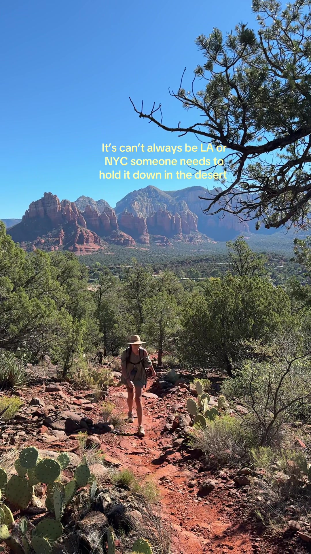@Max🪻🌞🌲