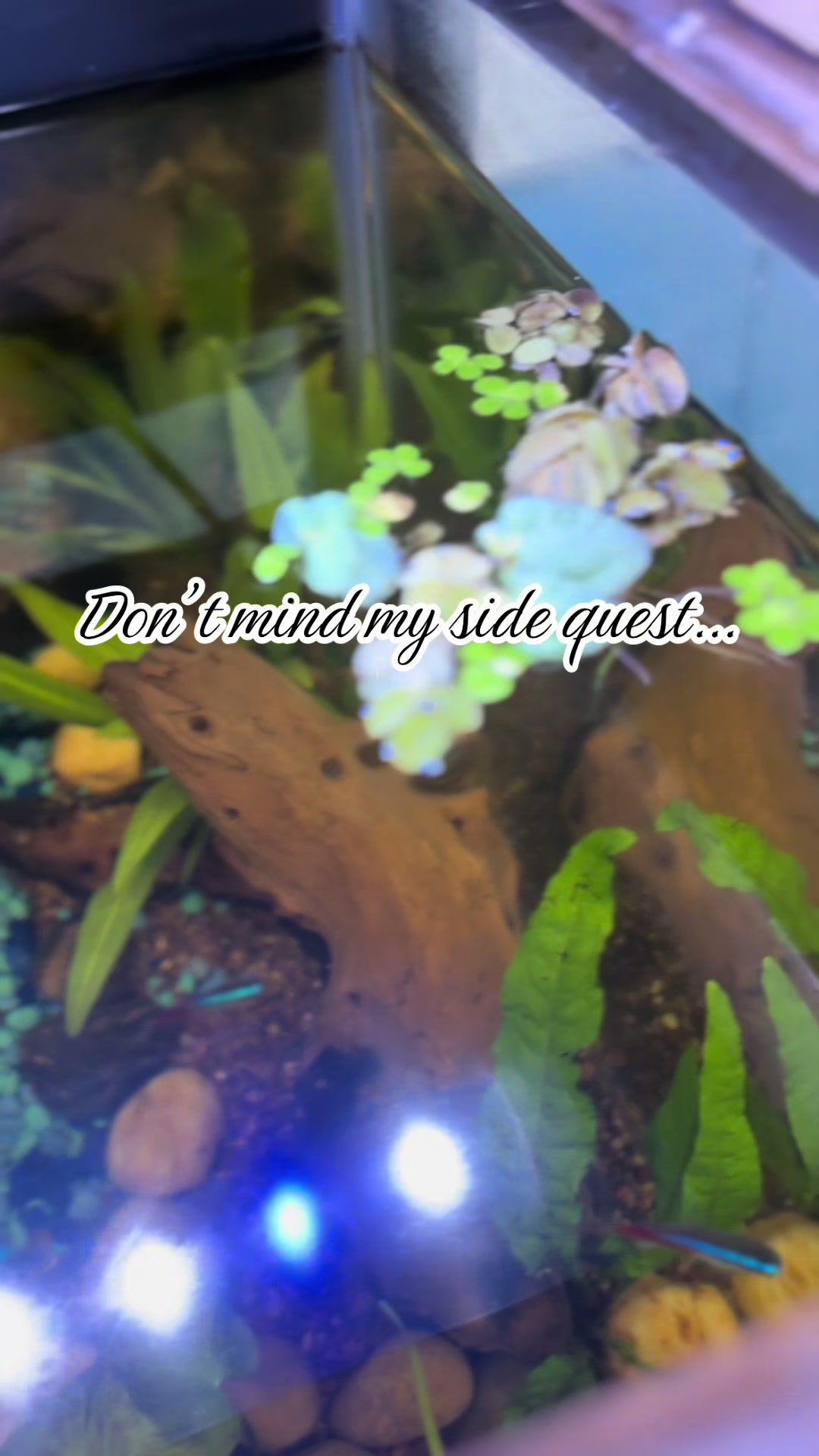 @Linda
