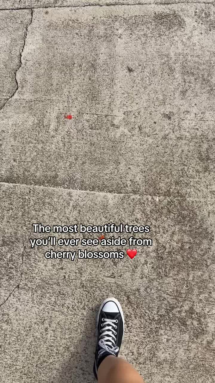 @Lil