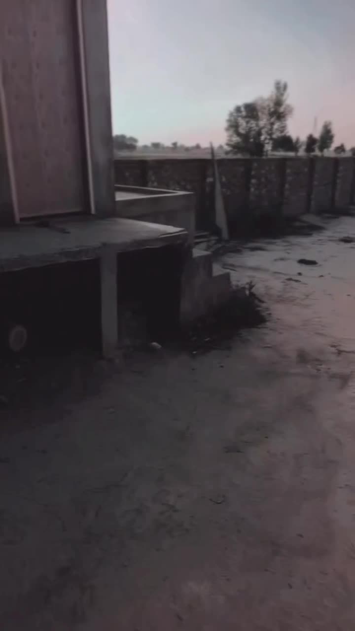 @عبدالرحیم گل✨