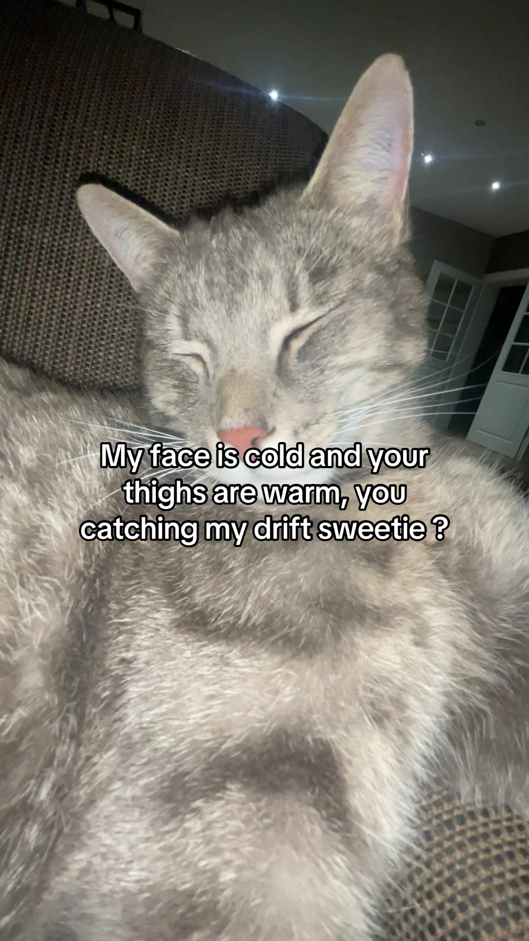 @Micky