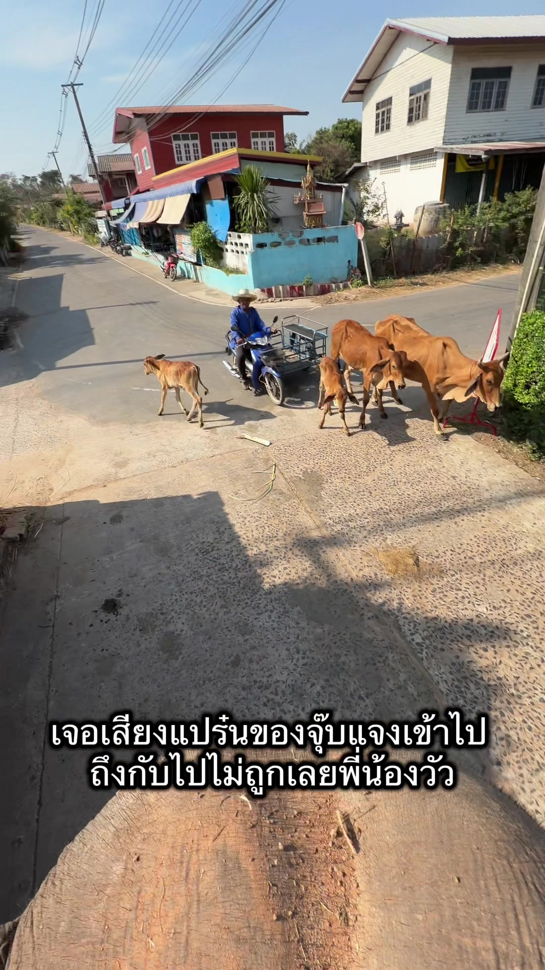 @Jubjang Family จุ๊บแจงแฟมิลี่