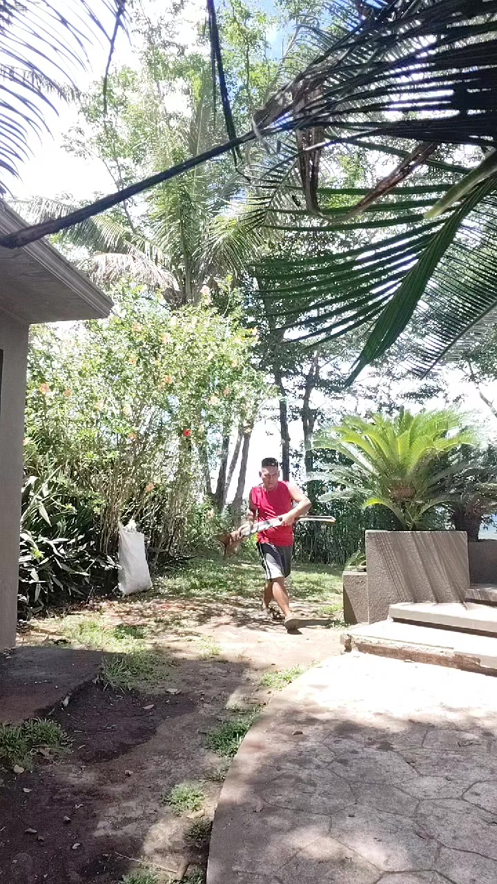 @bobbylopezcama