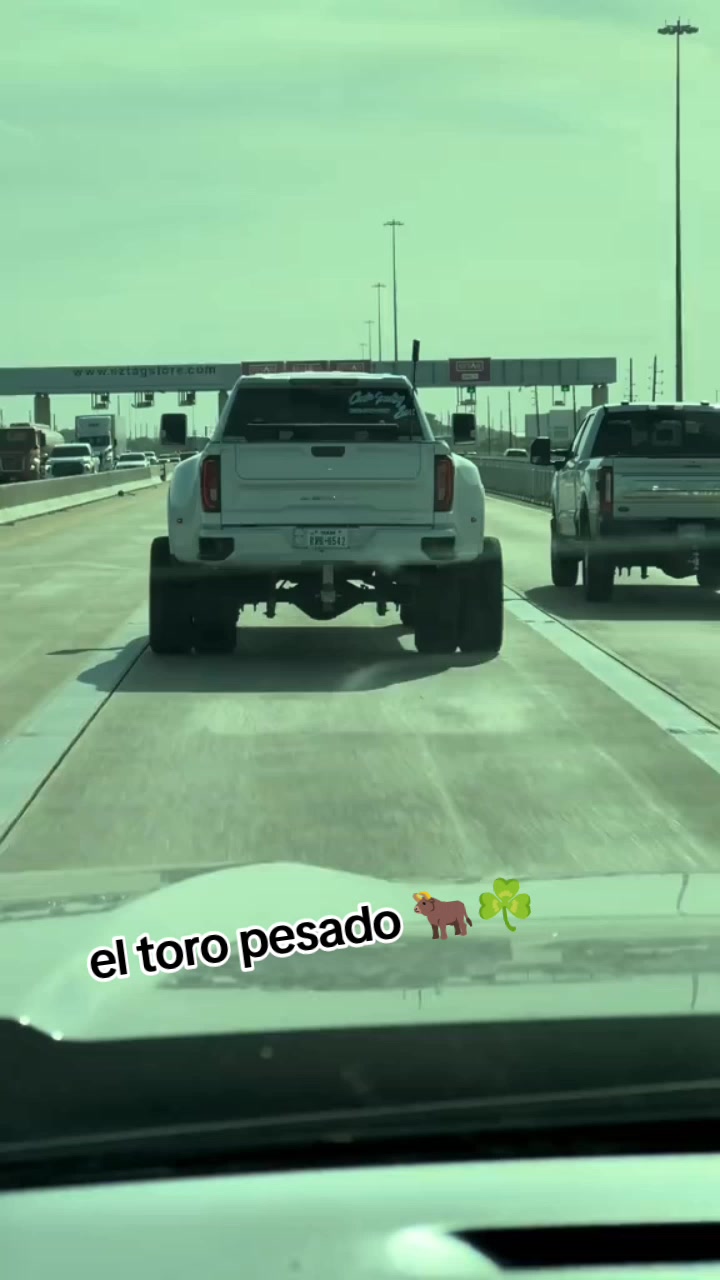 @el toro pesado 🐂☘️