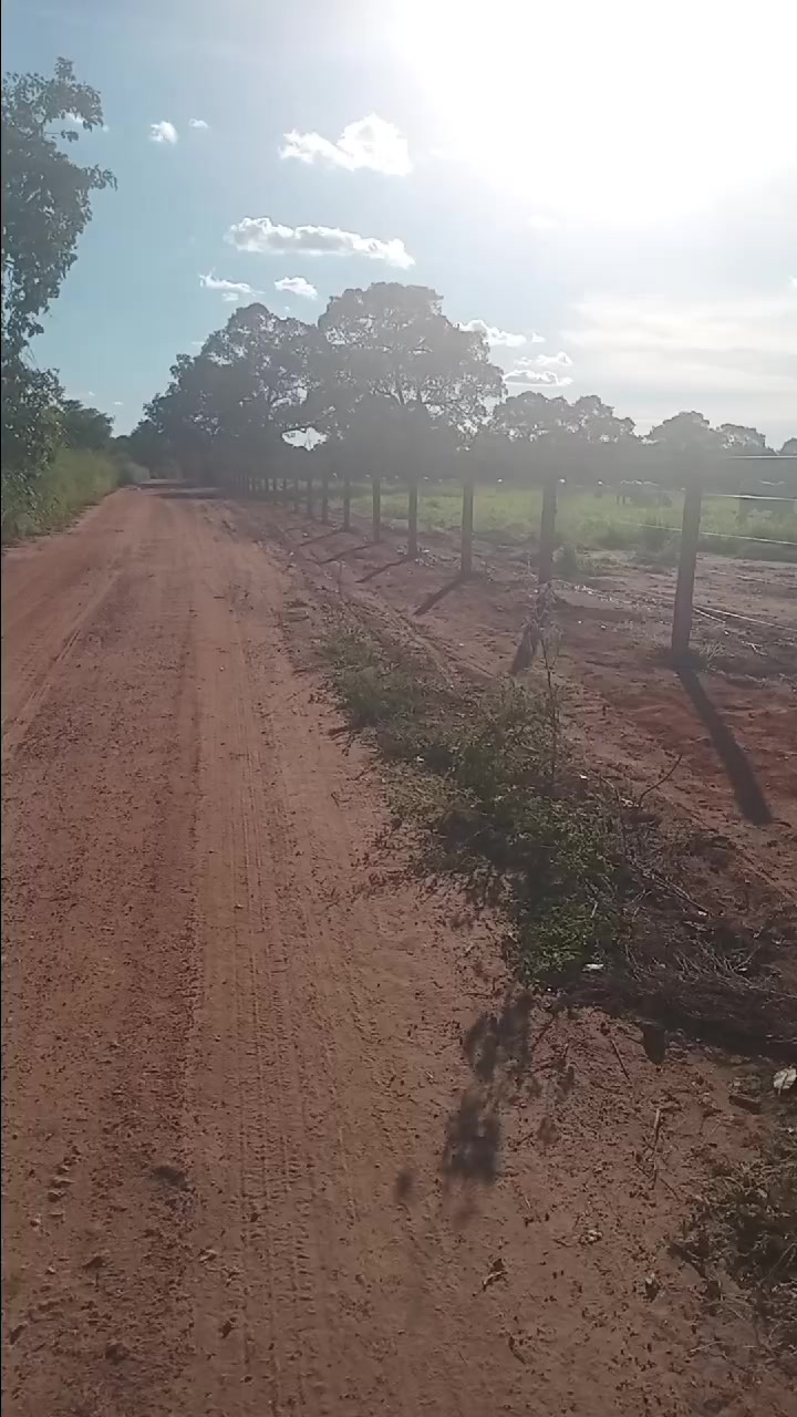 @mario Ferreira