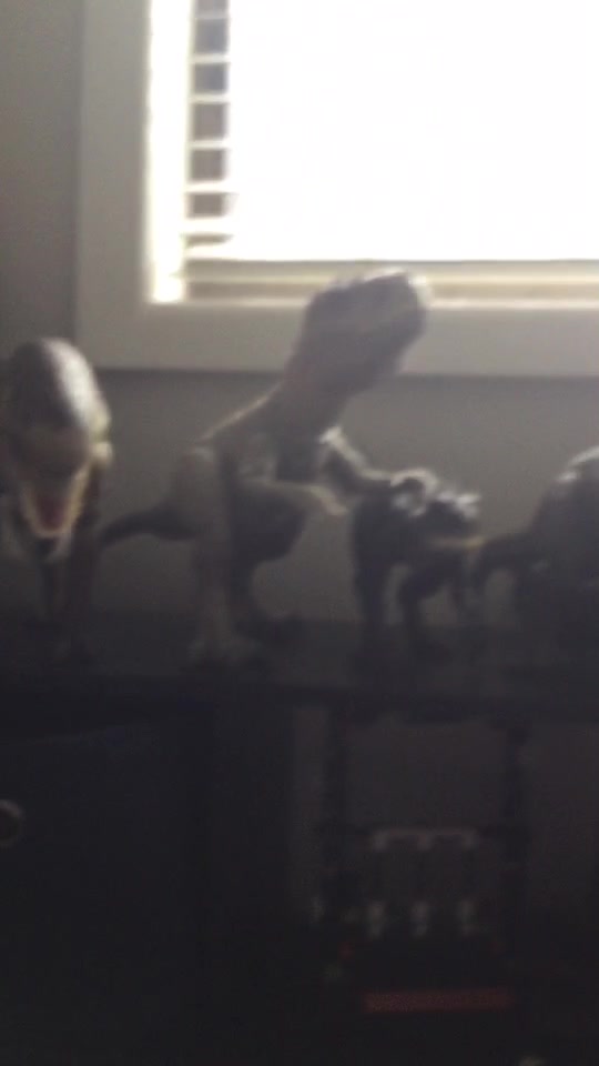 @🦖 Tobias 🦕