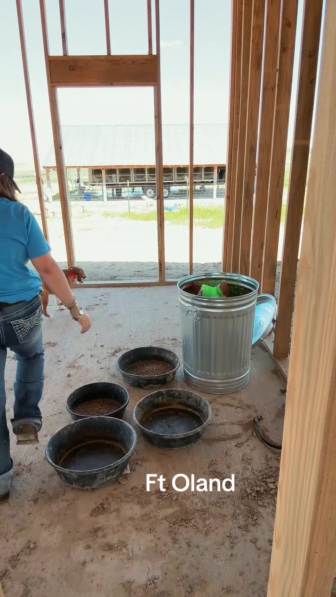 @dailyd0seofmk