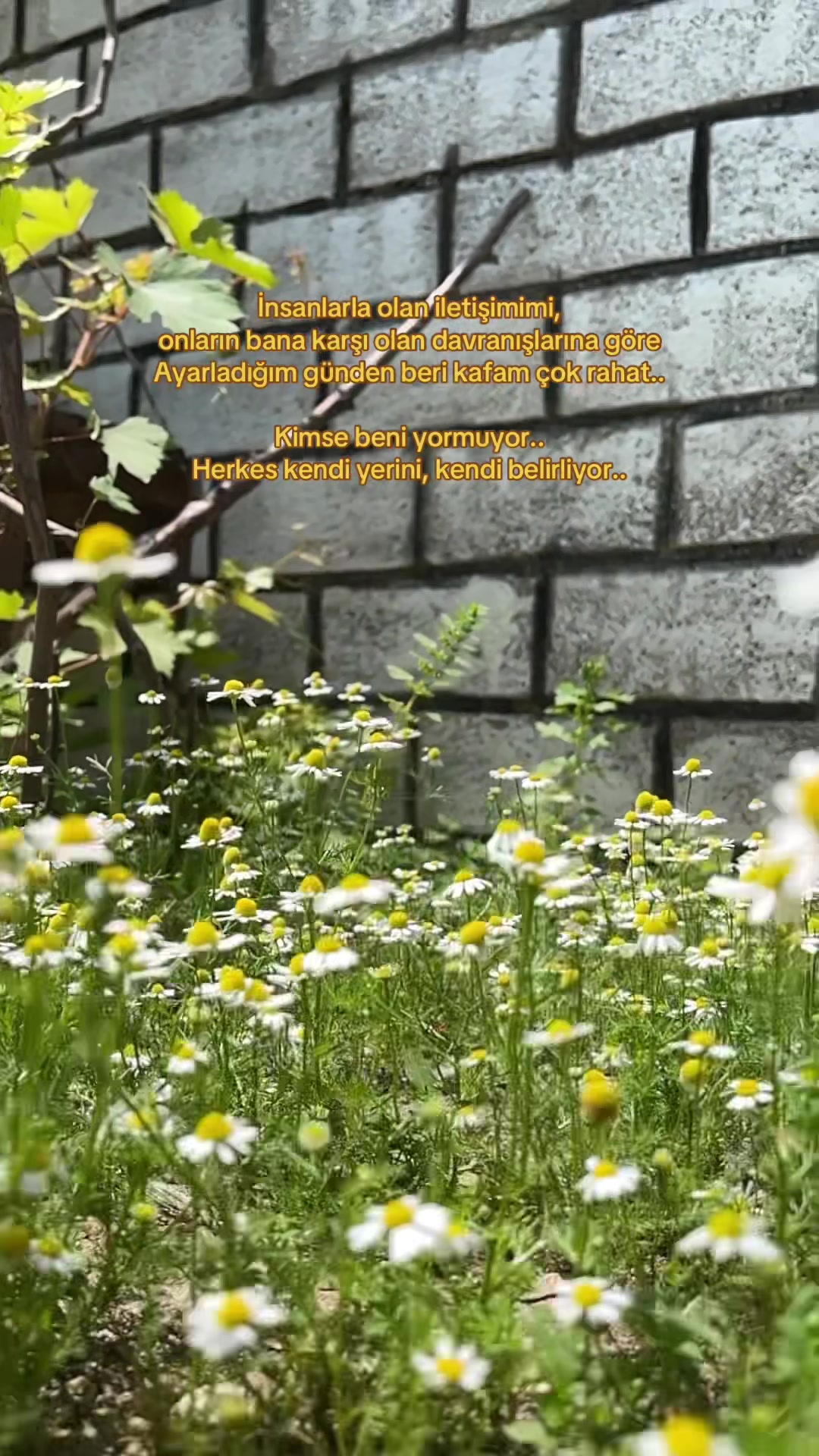 @Pınar Sedat Özateş