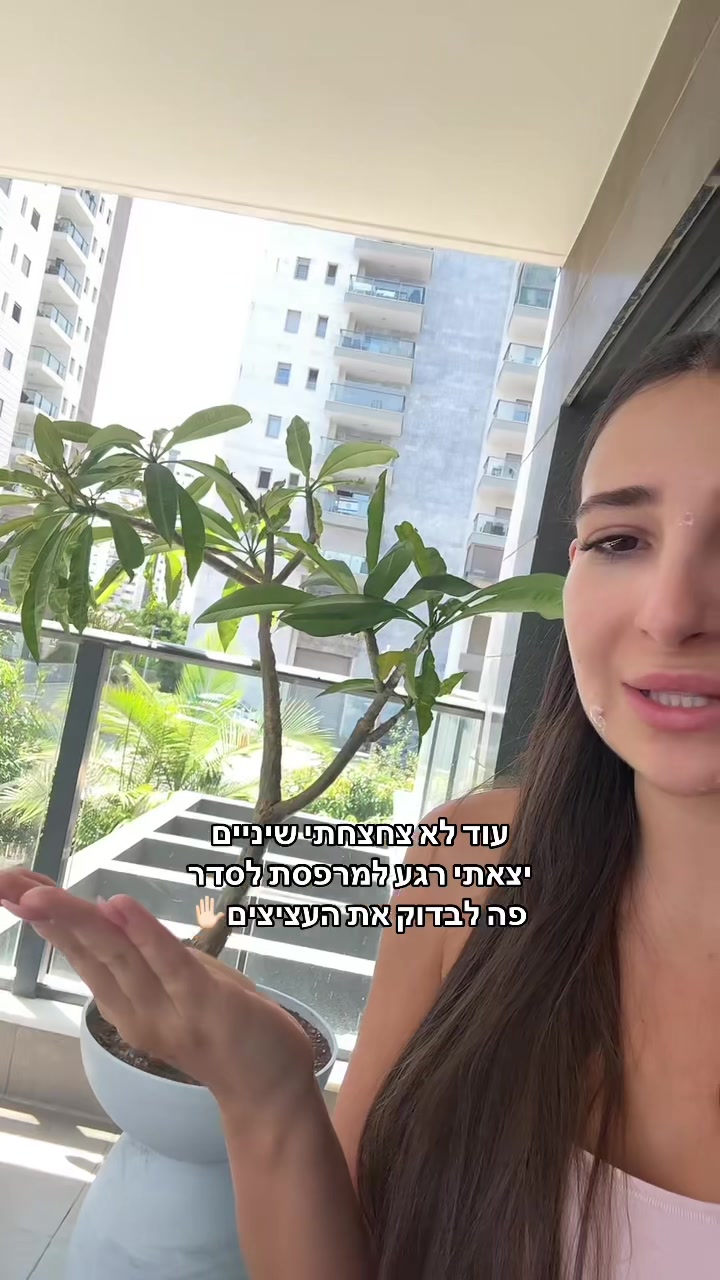 @Ori Novik