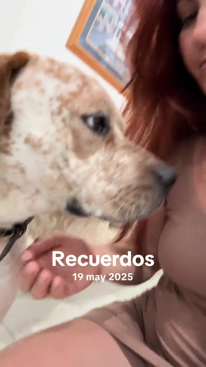 @anabelllopezrodri