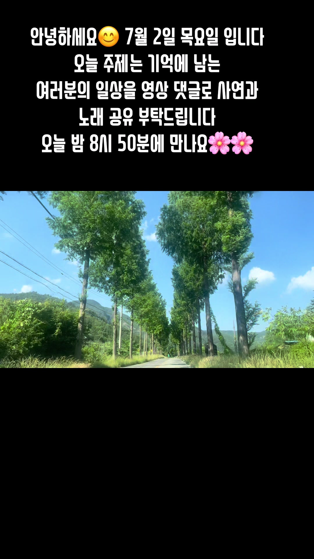 @🪴줄리애쉬