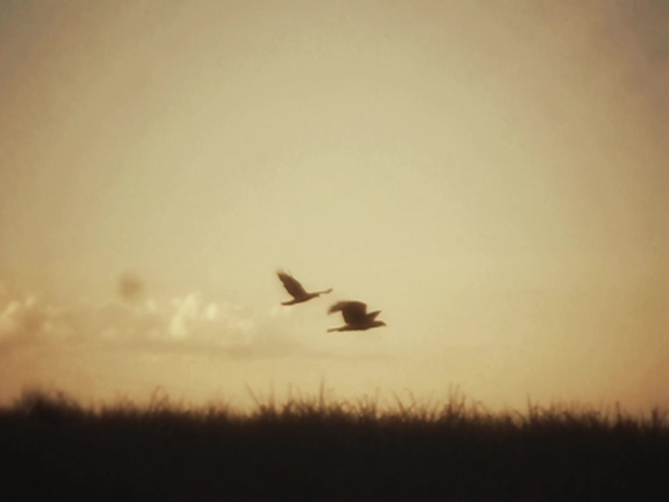@Silent Refuges