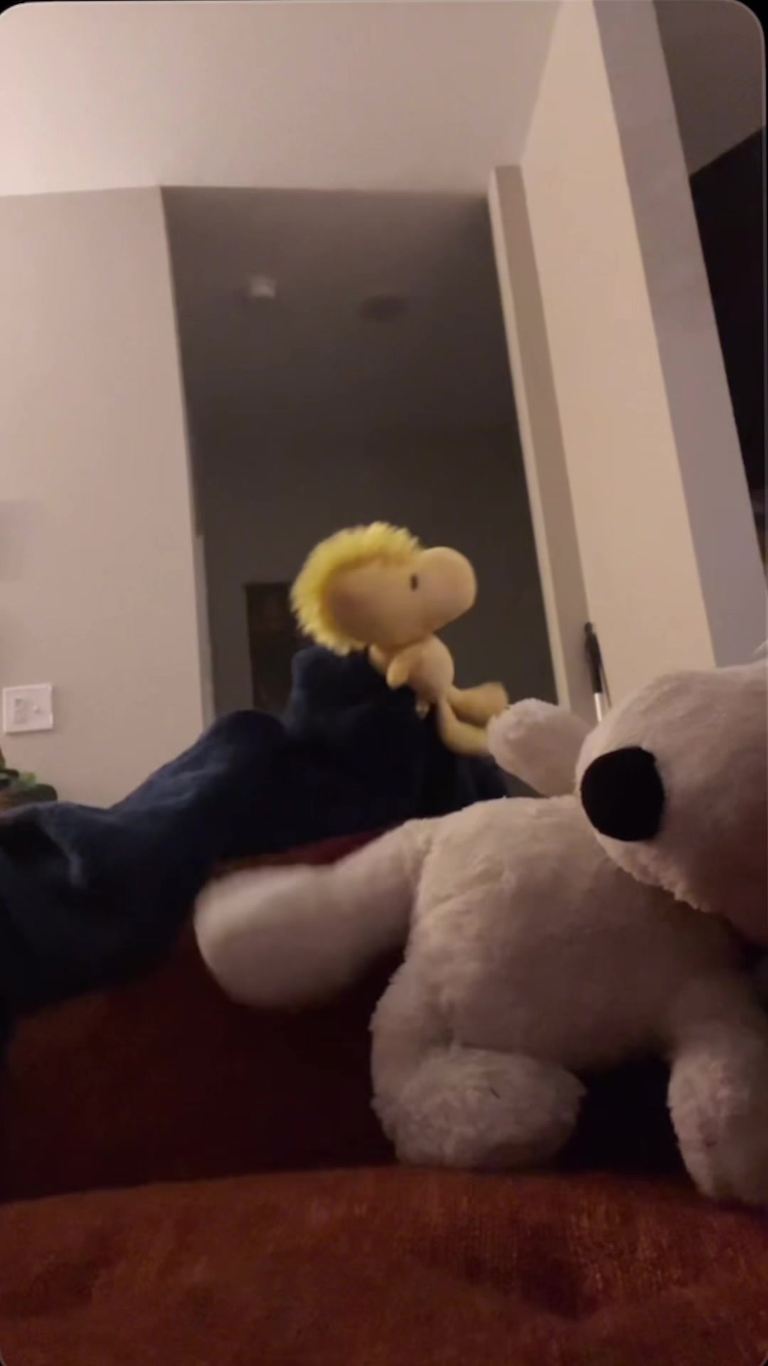 @snoopy