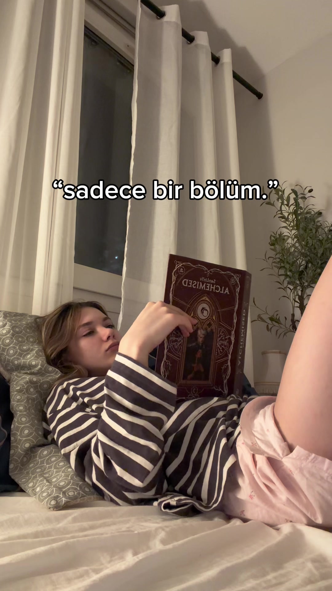 @selinsolaris