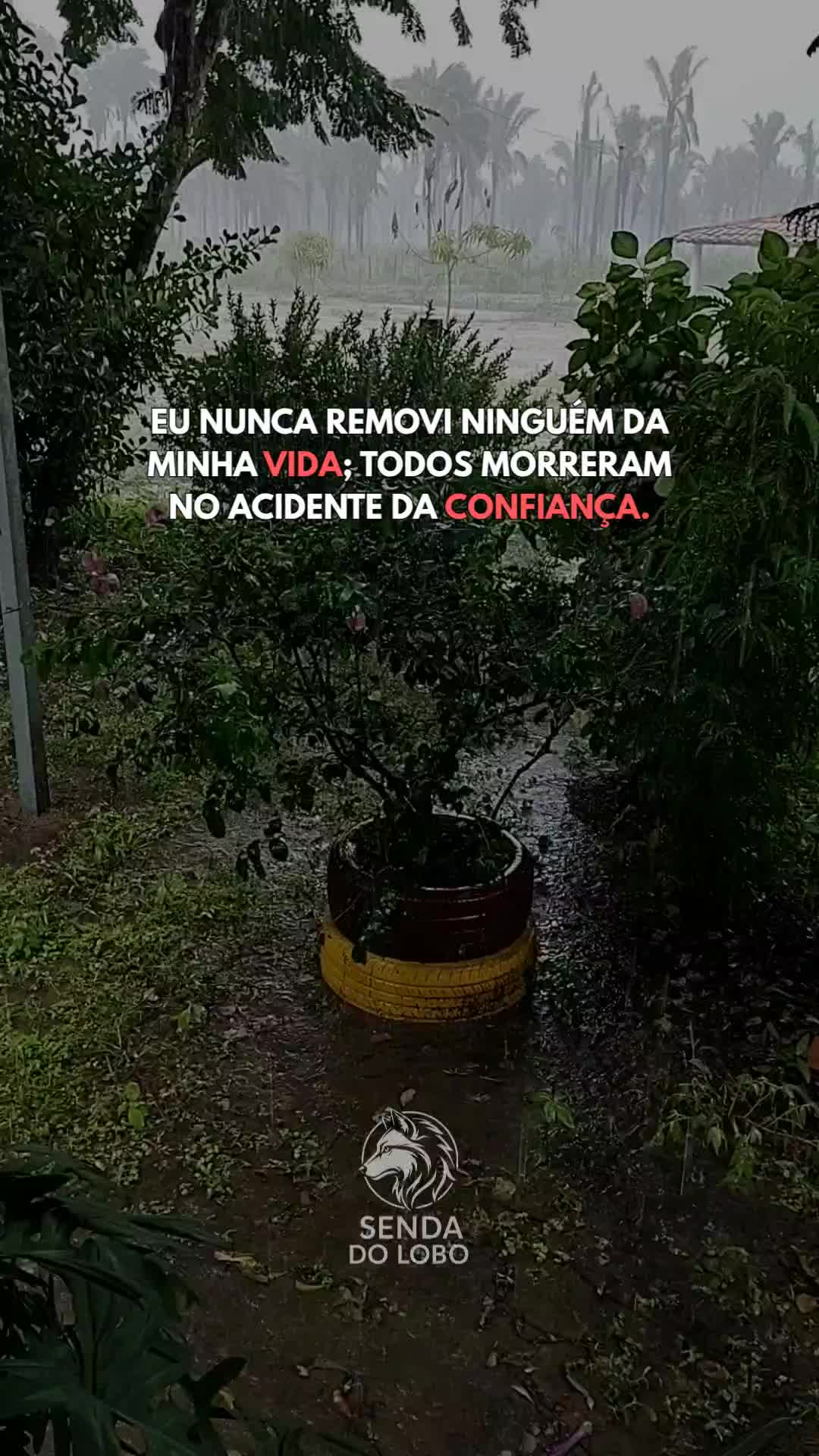 @Senda do Lobo