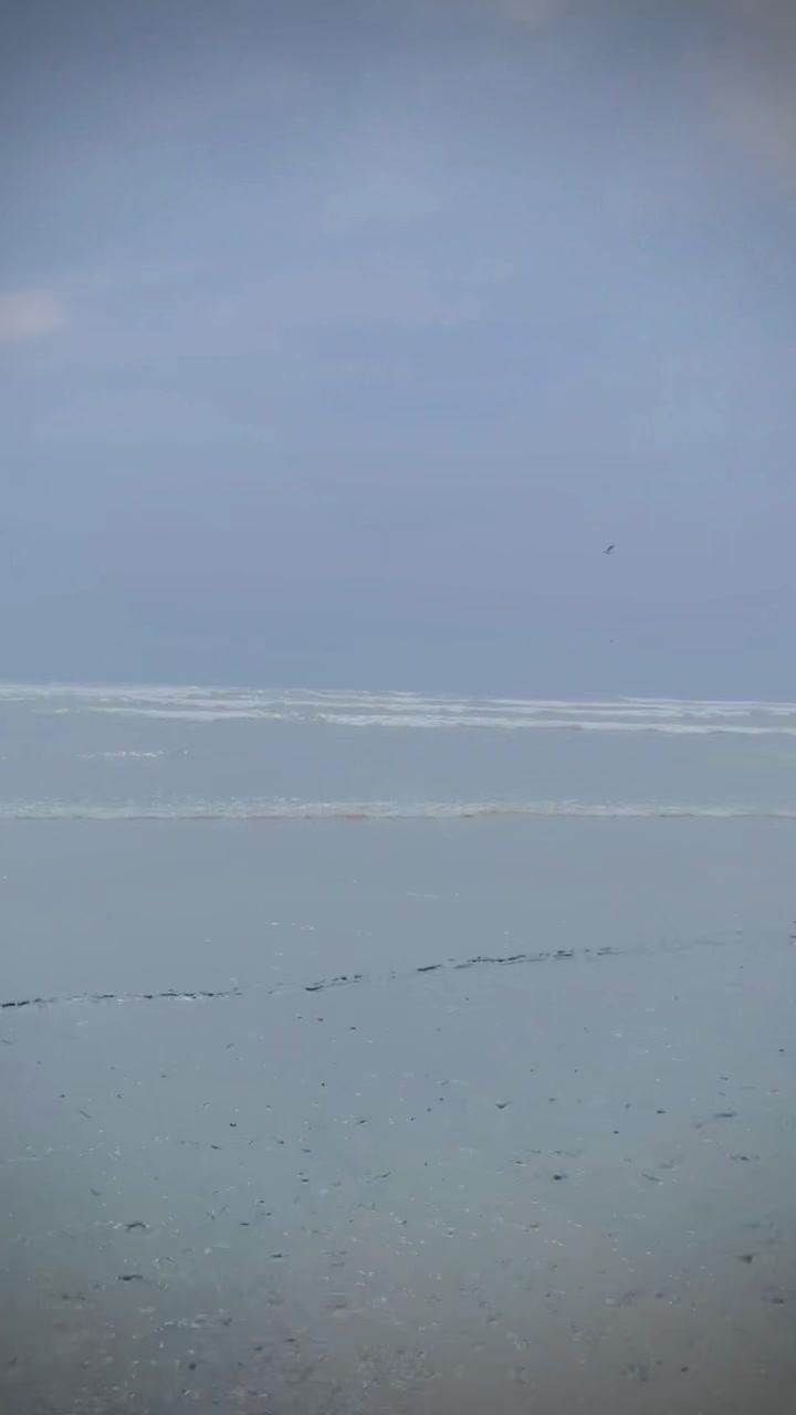 @Cartōōn