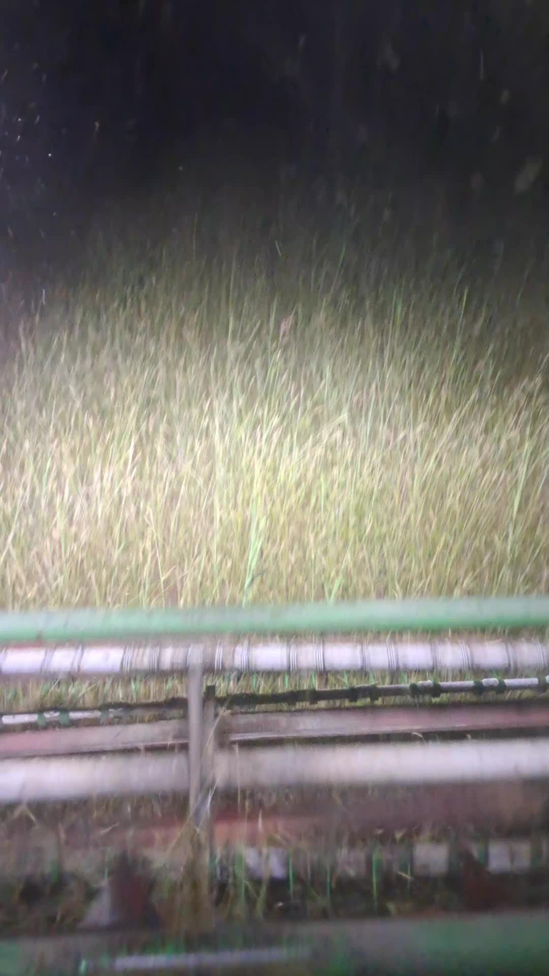@мухаммад