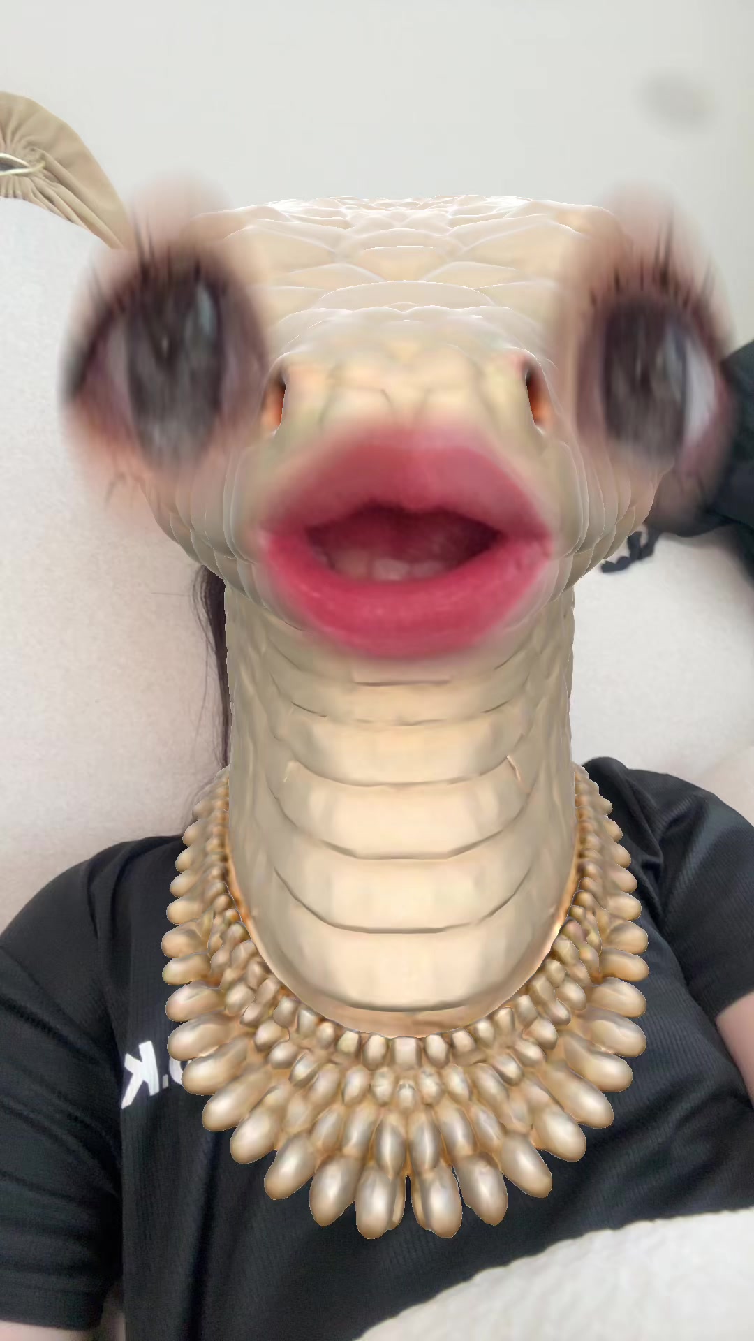 @안 물어 봤어